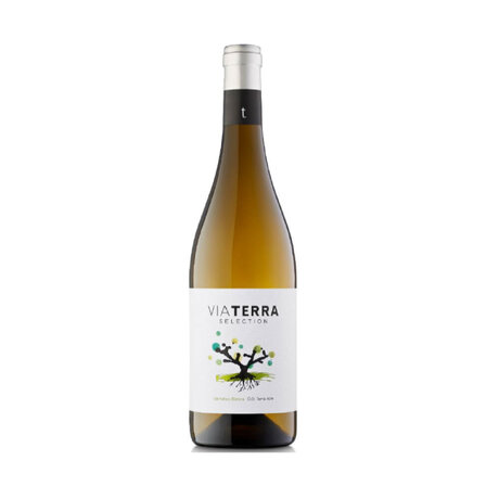 Edetaria Via Terra Selection Blanc 13% 0.75L 