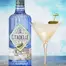 CITADELLE GIN CORNICHON 0,70 Alc.43,8%Vol.
