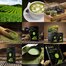 MATCHA zeleni čaj ORGANIC 30g